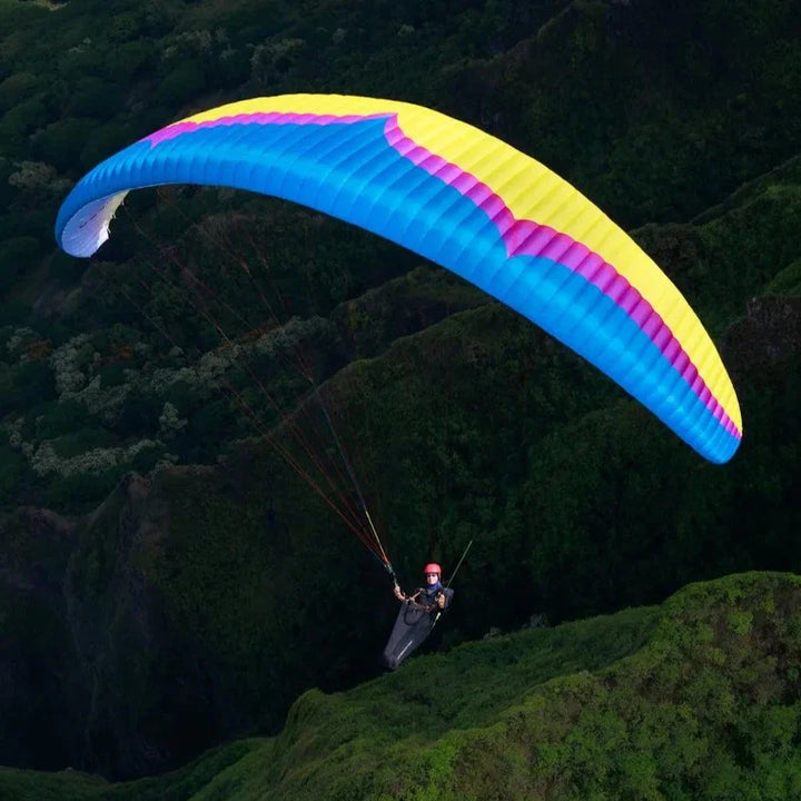 Alpina 4 (Light EN C)