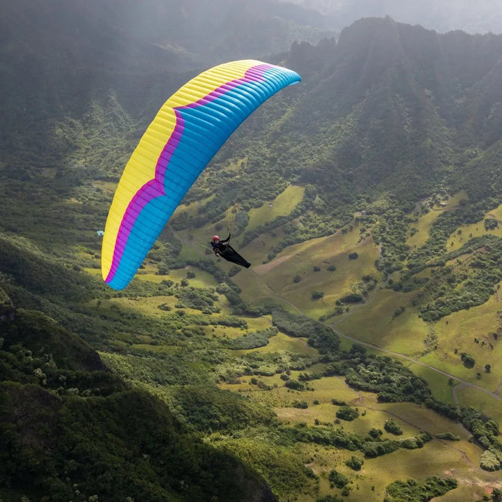 Alpina 4 (Light EN C)