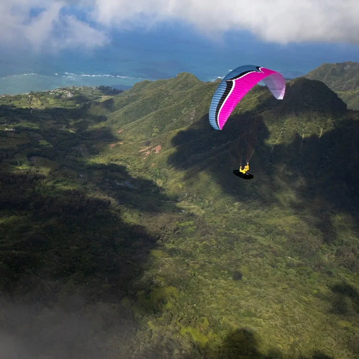 Alpina 4 (Light EN C)