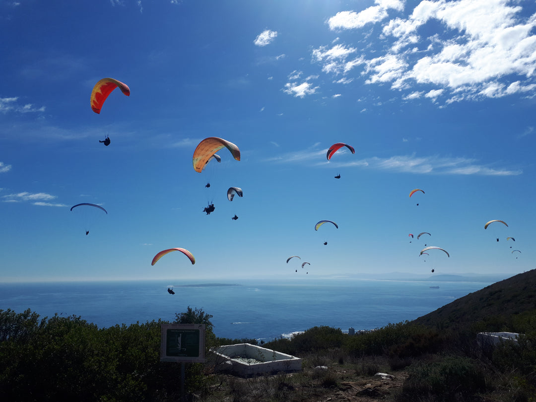 Signal hill paragliding full of Paragliders in Cape Town